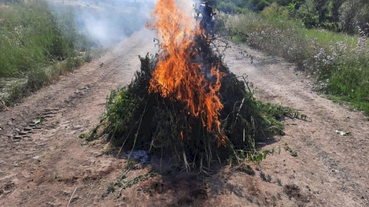 İşğaldan azad edilən ərazidə narkotik aşkarlandı