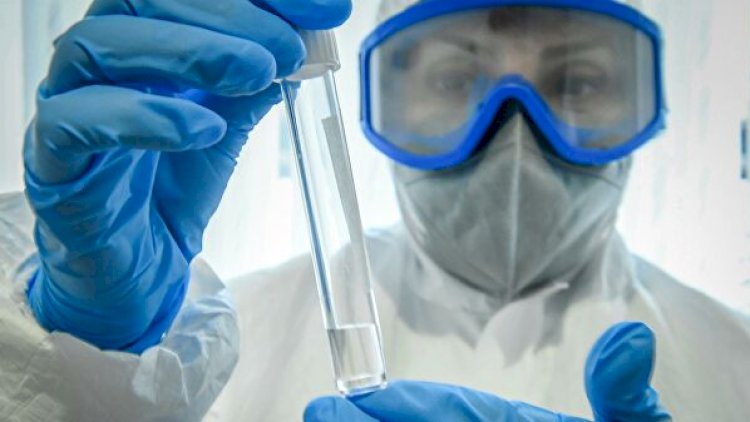 Gürcüstanda daha 19 nəfər öldü