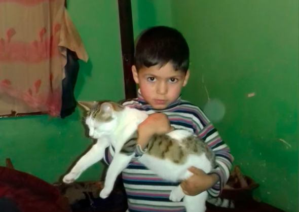 Поджог дома в сабирабадском селе был преднамеренным? - ВИДЕО