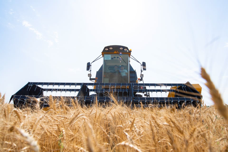 BİÇİN DAVAM EDİR, 61613 HEKTAR SAHƏDƏN 176836 TON MƏHSUL YIĞILIB