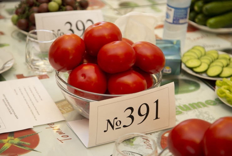 Yeni tərəvəz və kartof sortlarının dequstasiyası keçirilib