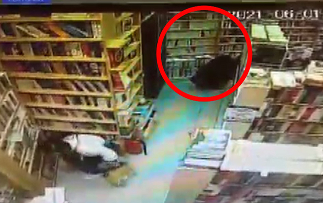 2 kitab oğurladıqlarına görə saxlanıldılar - Video
