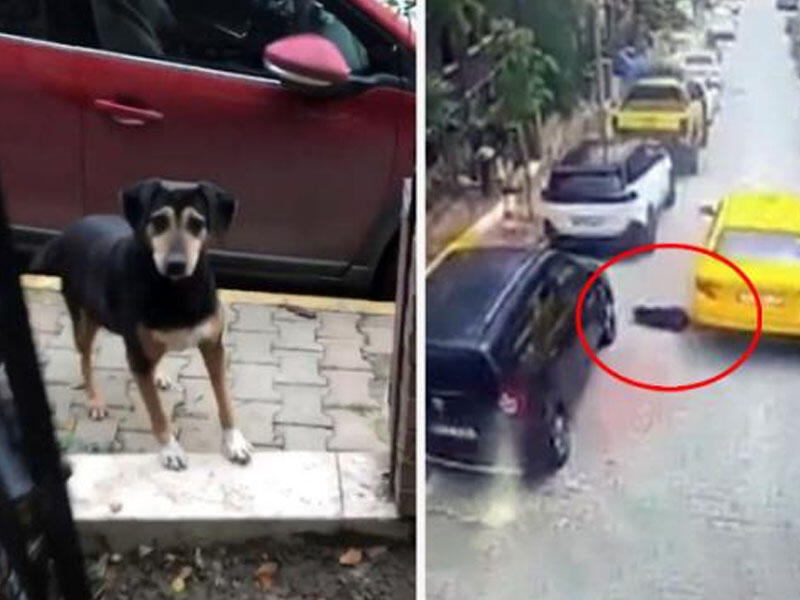 Dəhşət saçan kadrlar - Sürücünün rəzilliyi hər kəsi qəzəbləndirdi - VİDEO