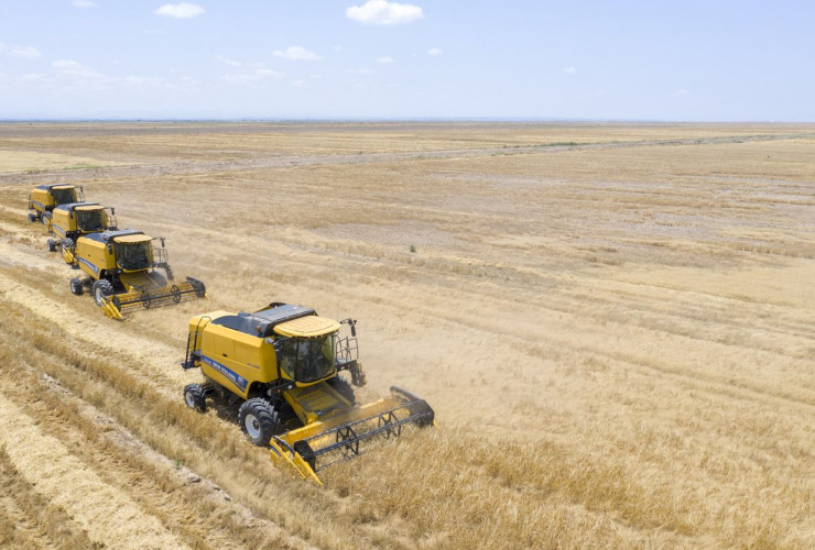 Taxıl sahələrinin 11,4 faizi biçilib, sahələrdən 337600 ton məhsul yığılıb