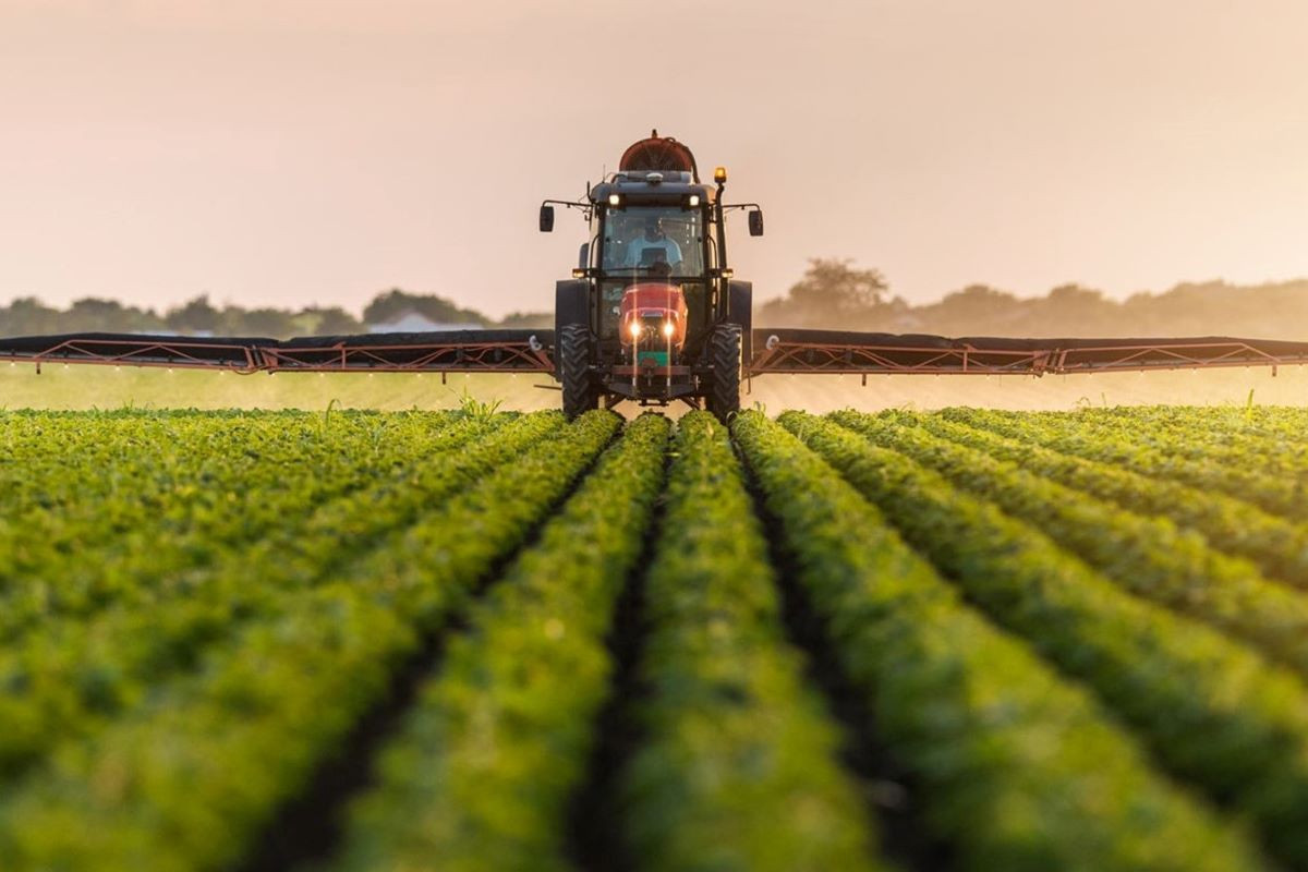 Naxçıvanda kənd təsərrüfatı məhsullarının istehsalı 3%-dək artıb