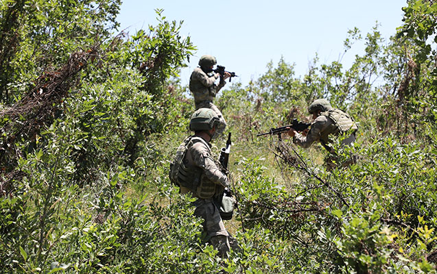 Daha 3 PKK terrorçusu zərərsizləşdirildi
