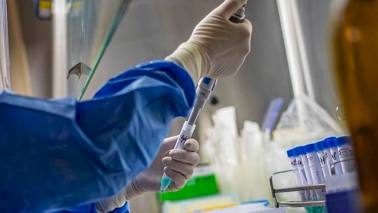 Qonşu ölkədə Hindistan ştammına 18 yoluxma qeydə alınıb - Təhlükə