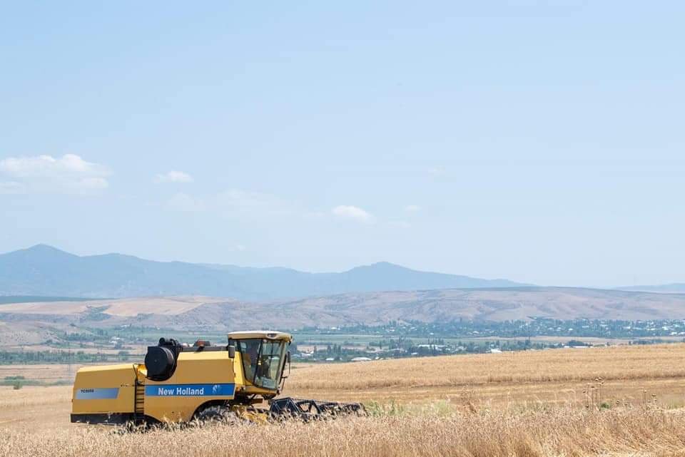 BİÇİN DAVAM EDİR, 315799 HEKTAR SAHƏDƏN 971747 TON MƏHSUL YIĞILIB