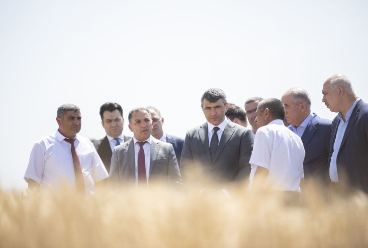 Qobustanda toxumçu fermerlərə yeni yerli və xarici taxıl sortları nümayiş olunub