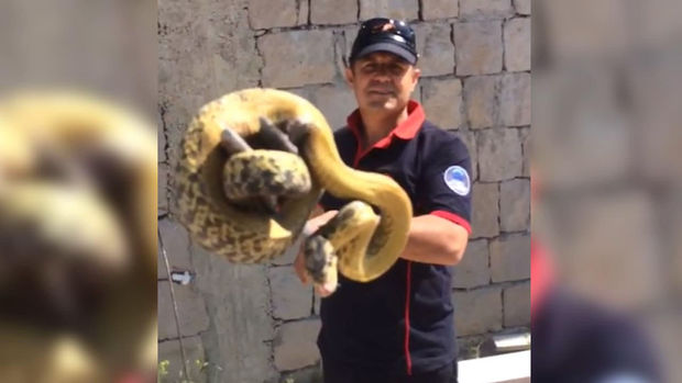 Evin divar boşluğundan üç metr uzunluğunda ilan çıxarıldı - VİDEO