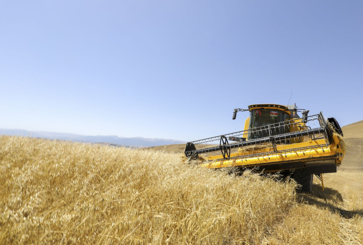 Dağlıq və dağətəyi ərazilərdə taxıl biçini prosesinə 20 ədəd dağ kombaynı cəlb edilib
