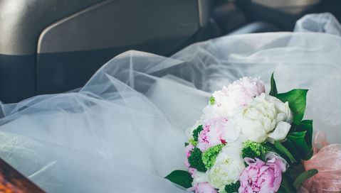 Toylarla bağlı icazə portalı sabahdan aktivləşdiriləcək - RƏSMİ + VİDEO