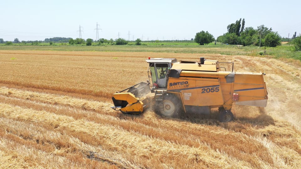 TAXIL SAHƏLƏRİNİN 64 FAİZİNDƏ BİÇİN BAŞA ÇATIB, SAHƏLƏRDƏN 2014551 TON MƏHSUL YIĞILIB