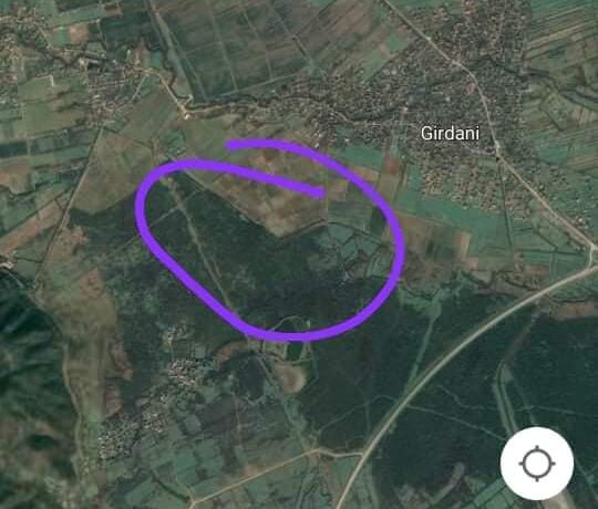 “Beta Azərbaycan” meşə örtüyünü necə məhv edir-LƏNKƏRANDA