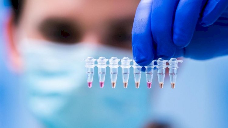 Azərbaycan yeni təhlükə astanasında - Qonşu ölkədə də aşkarlandı