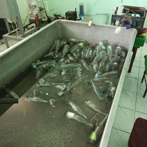 İçkilərin saxlama müddətini saxtakarlıqla artıran sex barəsində araşdırılma başladıldı - FOTO