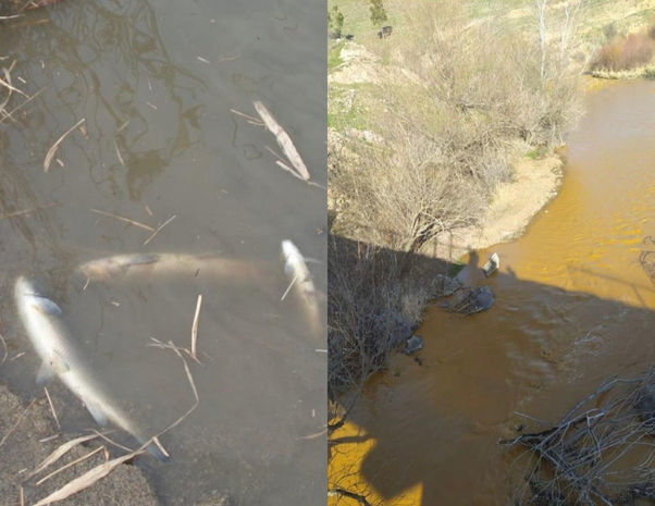 Oxçuçayın çirkləndirilməsi ilə bağlı həyəcan təbili: Beynəlxalq təşkilatlara müraciət edildi - FOTO/VİDEO