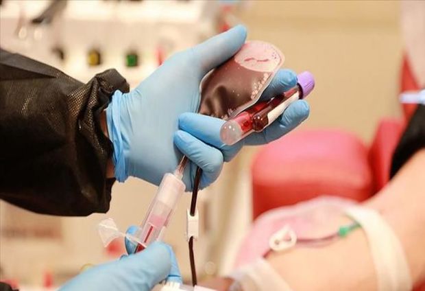 Azərbaycanda immun plazması ilə sağalan koronavirus xəstələrinin sayı AÇIQLANDI