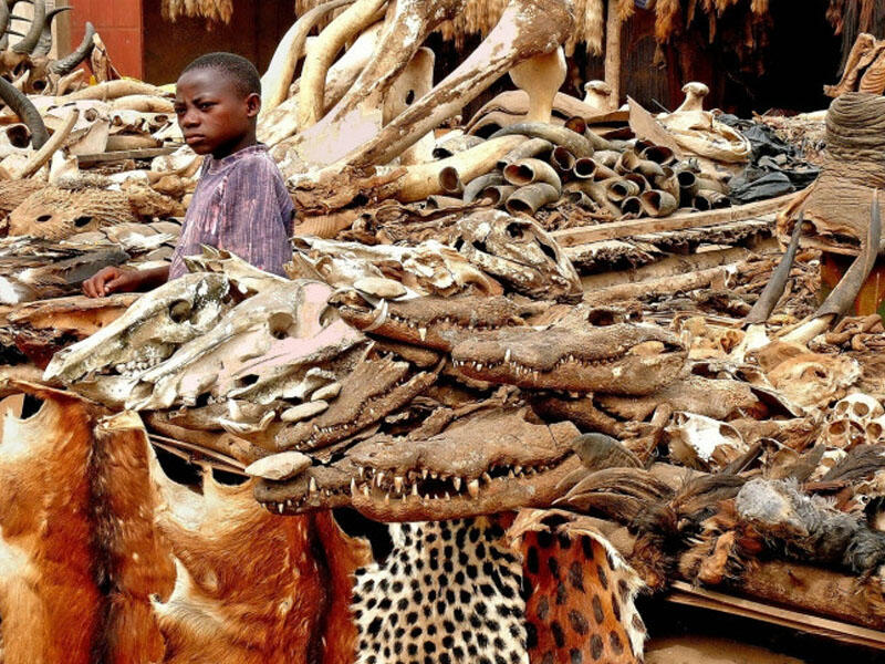 Dünyanın ən qorxunc bazarı: Əsəbi zəif olanların bura girməsi məsləhət deyil - FOTOlar