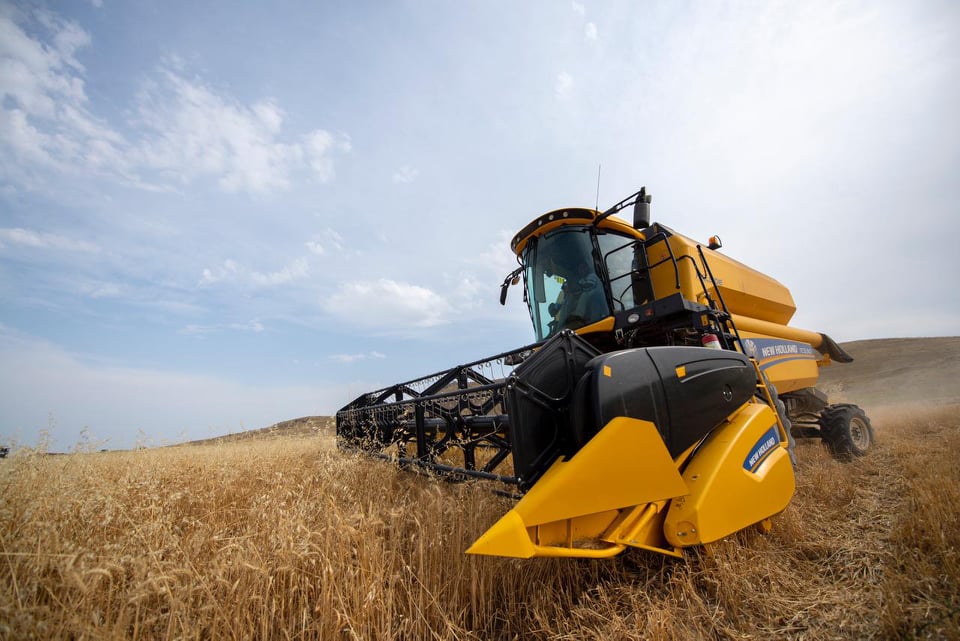 TAXIL SAHƏLƏRİNİN 81,3 FAİZİNDƏ BİÇİN BAŞA ÇATIB, SAHƏLƏRDƏN 2,6 MİLYON TONA YAXIN MƏHSUL YIĞILIB