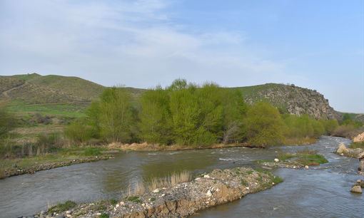 Azərbaycan diasporundan Oxçuçayı çirkləndirən Almaniya şirkətinə ETİRAZ - FOTO