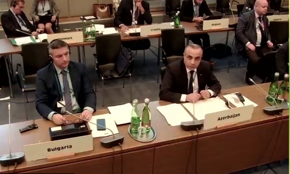 ATƏT Parlament Assambleyasında Azərbaycandan Türkiyəyə dəstək