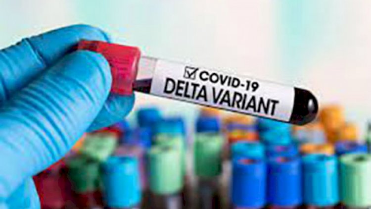 Daha bir ölkədə “Delta“ ştammı aşkarlandı - Təhlükə artır