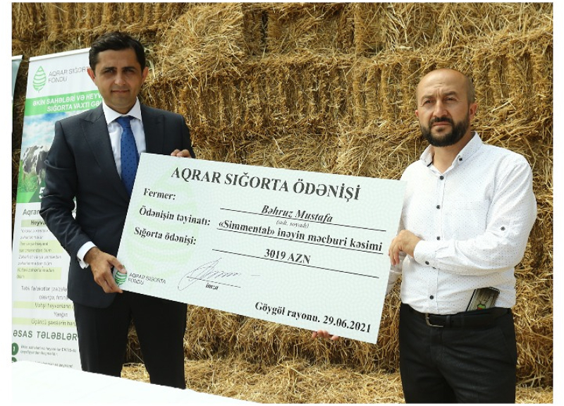 В Азербайджане произведена первая страховая выплата по аграрному страхованию