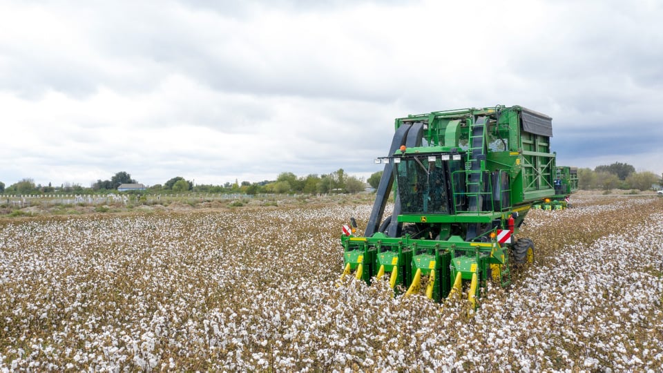 “Azərbaycan Respublikasında pambıqçılığın inkişafı ilə bağlı görülmüş işlər və qarşıda duran vəzifələr” mövzusunda müşavirə keçirilib