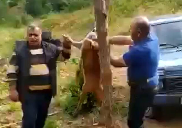 Laçında iki nəfərin cüyür ovlayıb, kef məclisi təşkil etməsi ilə bağlı DİN-dən AÇIQLAMA - YENİLƏNİB+VİDEO