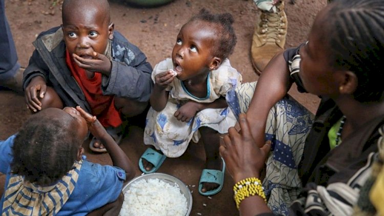 Dünyada 700 milyondan çox insan acdır - BMT