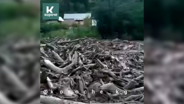 В результате схода селя в Кыргызстане погибли шесть членов одной семьи - ВИДЕО