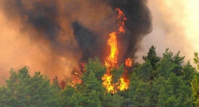 Prokurorluq işğaldan azad olunan ərazilərə gedənlərə xəbərdarlıq etdi