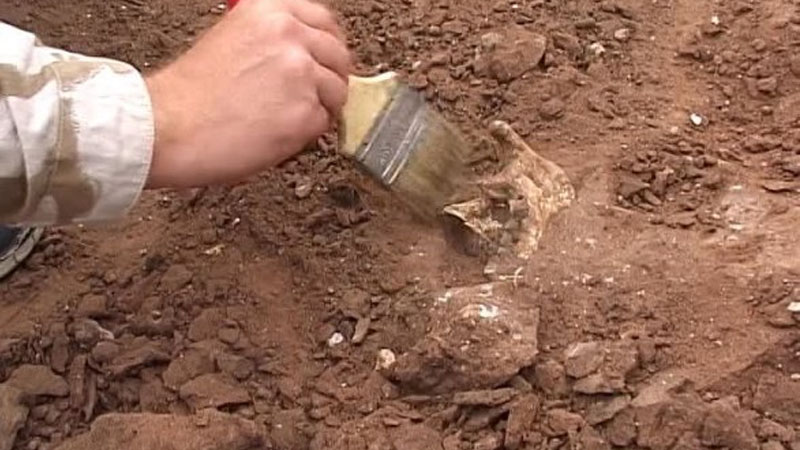 Azərbaycanın bu bölgəsində külçələr tapıldı - Kənd nəzarətə götürüldü (FOTO)