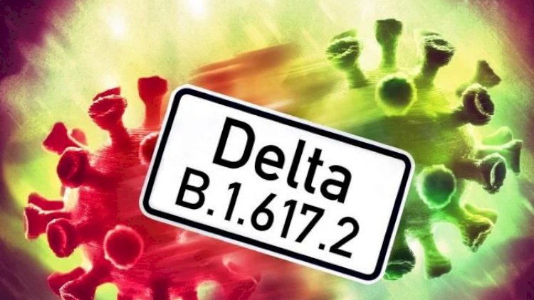 “Delta” ştammı neçə ölkəyə yayılıb?