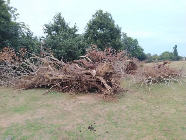 Ekologiya və Təbii Sərvətlər Nazirliyi “Beta” şirkəti ilə müqaviləyə xitam verə bilər
