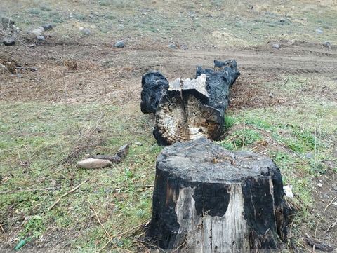 Ermənistanın törətdiyi ekoloji terrorla bağlı beynəlxalq platformalarda iddialar qaldırılacaq - RƏSMİ