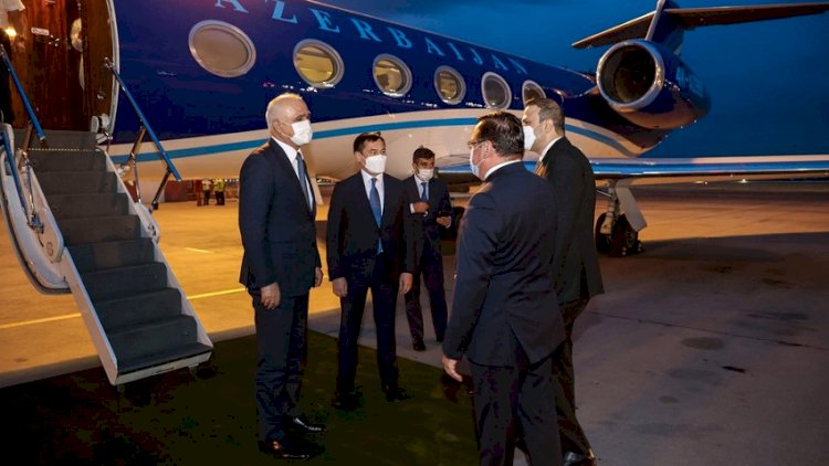 Azərbaycan Özbəkistana 50 min doza peyvənd göndərdi - Fotolar