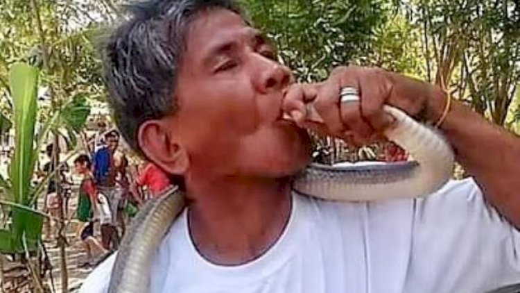 Kuryoz hadisə: İlanların “tanrı“sıyam deyən şəxsi ilan belə öldürdü