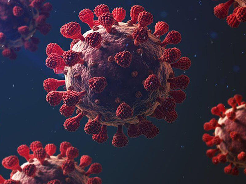 Daha təhlükəli ştammlar yarana bilər - ÜST