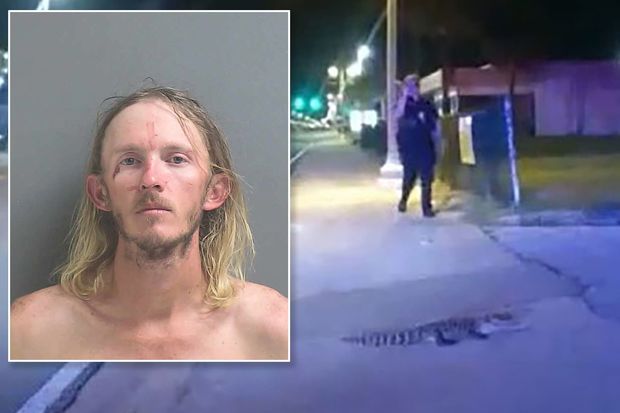 Житель Флориды пытался забросить аллигатора на крышу дома, чтобы преподать ему урок