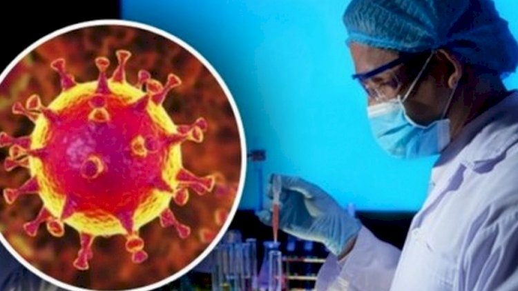 Rusiyada “Braziliya ştamı” aşkarlandı