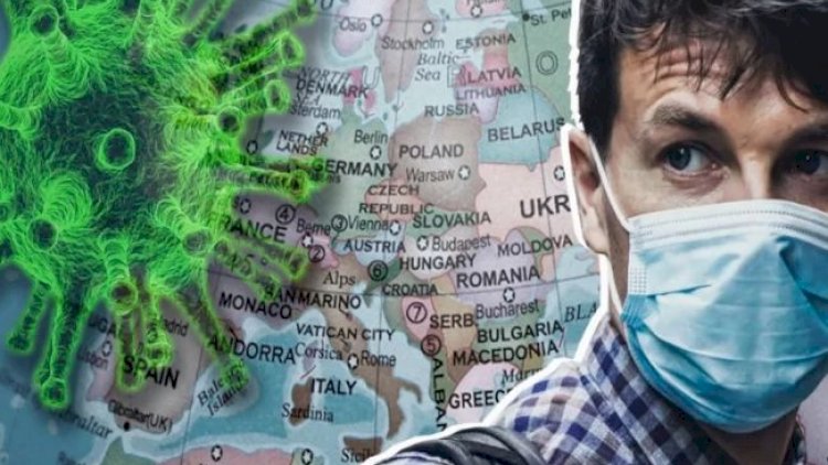 Yarasalarda yeni növ korona aşkarlandı