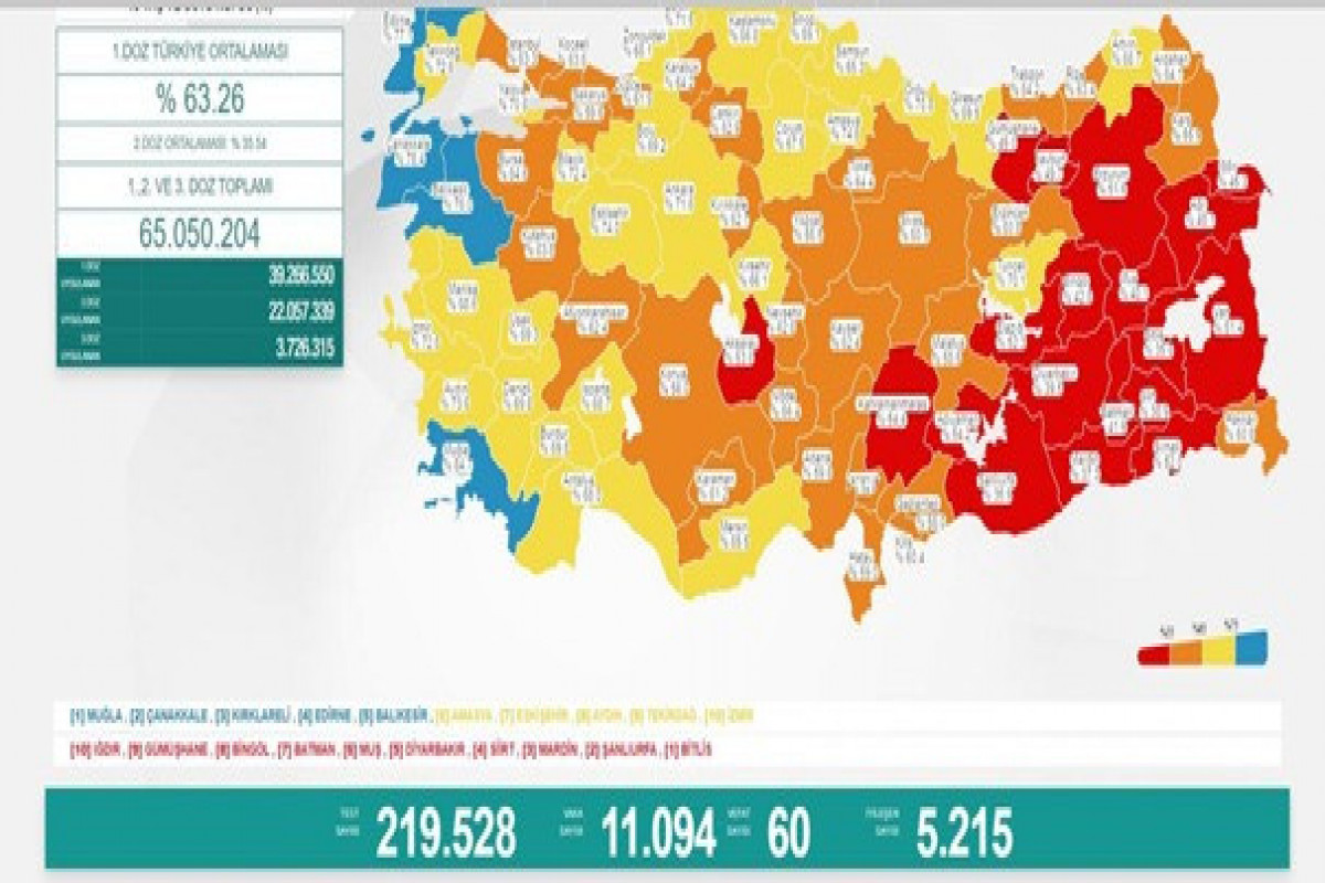 Türkiyədə bu gün koronavirusdan 60 nəfər ölüb