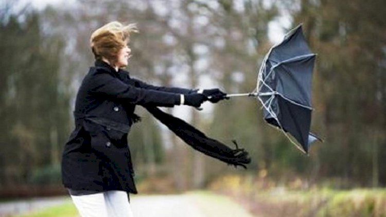 Küləkli hava 3 gün davam edəcək - Proqnoz