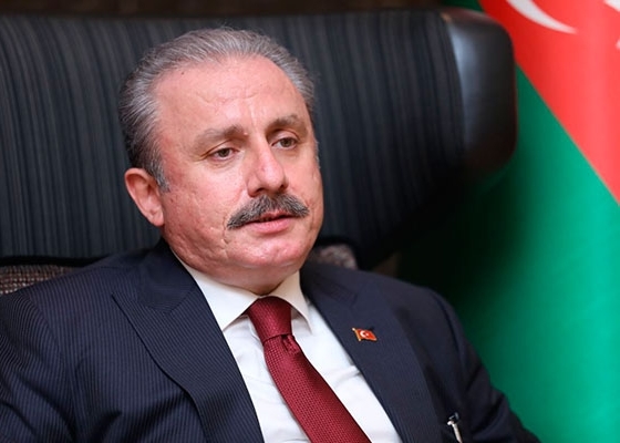 Şentop ortaq türk ordusunun yaradılması ilə bağlı suala hansı cavabı verib? - Video