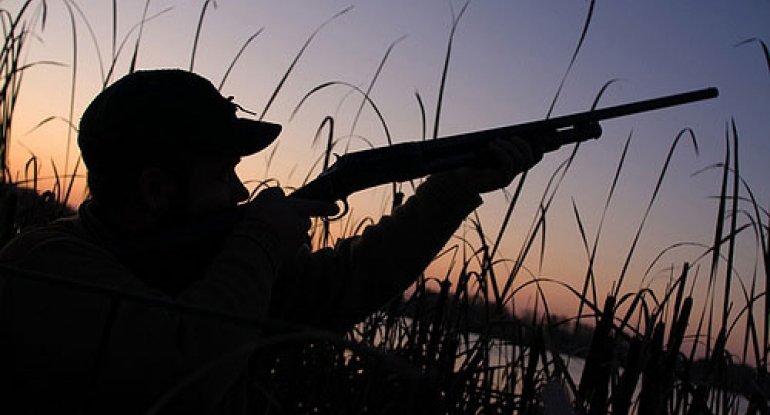 Qanunsuz ov edən şəxslər cəzalandırılıb