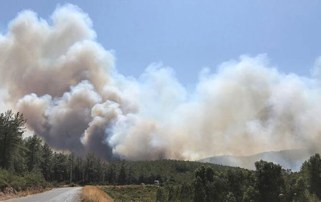 Türkiyədə yanğınlarda xəsarət alanların sayı açıqlandı