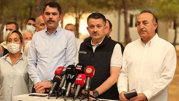 Türkiyədə meşə yanğınları qismən nəzarət altına alınıb