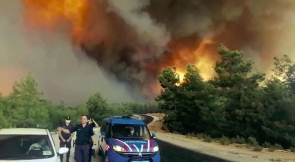 В Турции локализовали 42 из 63 очагов возгорания